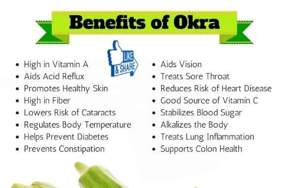 Okra Powder Benefits
