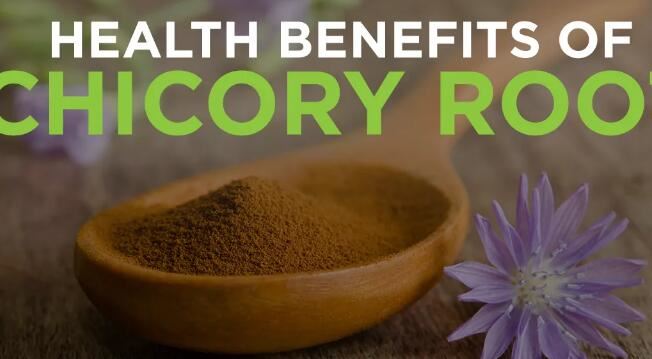 What are the health benefits of inulin What are the health benefits of inulin