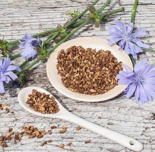 Is inulin good for health Is inulin good for health