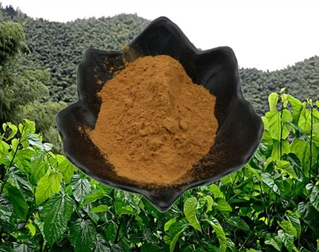 DNJ Mulberry nplooj Extract