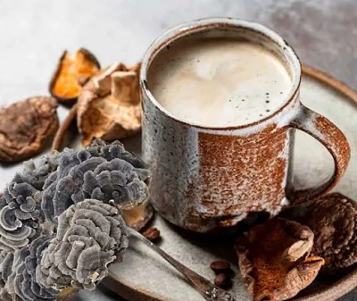 Qaib ntxhw Tail Extract: Solubility thiab Stability rau dej haus