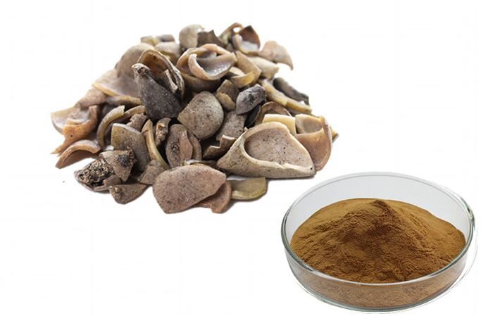 Galla Chinensis Extract
