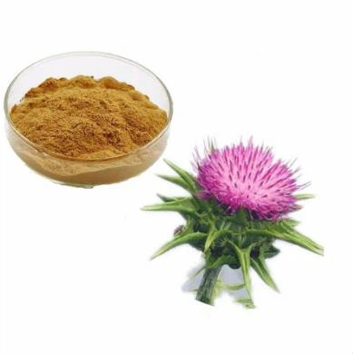 Organic Mis Thistle Hmoov