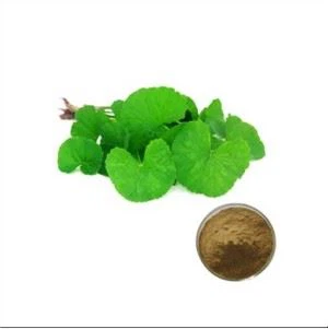 Centella Asiatic Extract