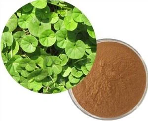 Centella Asiatica Nplooj Extract