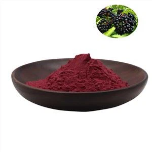 Elderberry Extract Hmoov