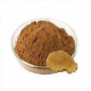 Phellinus Igniarius Cov Ntawv Ntsuam Xyuas