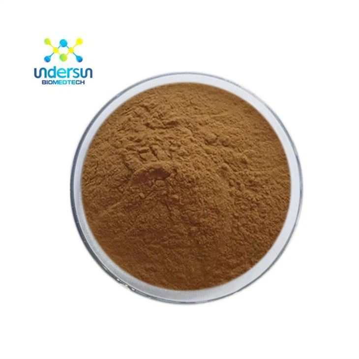 Angelica Hauv paus Extract