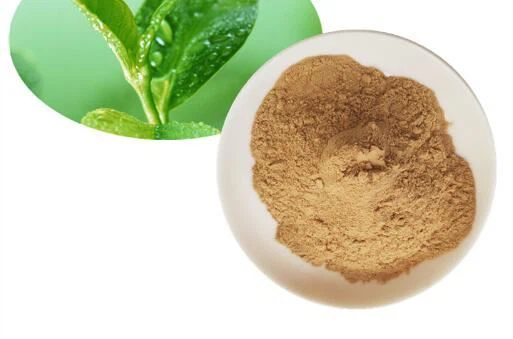 Ntsuab Tshuaj Yej Polyphenols