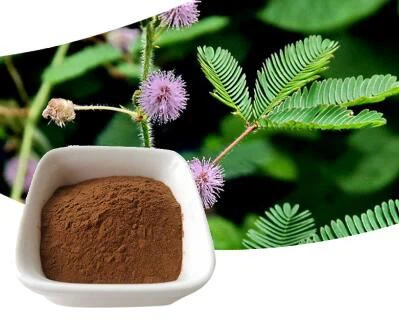 Mimosa Hostilis Hmoov