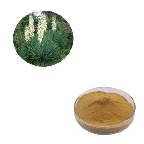 Organic Yucca Extract