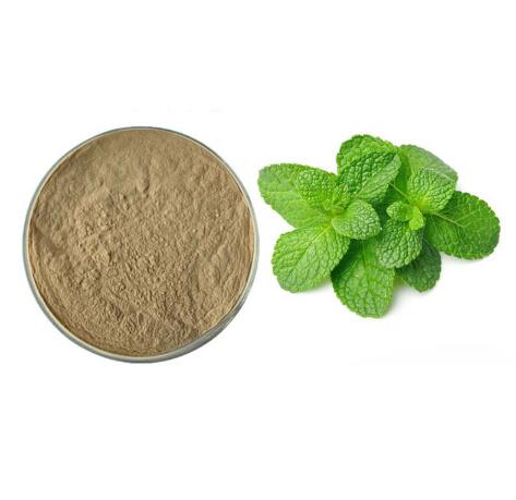 Peppermint Extract Hmoov