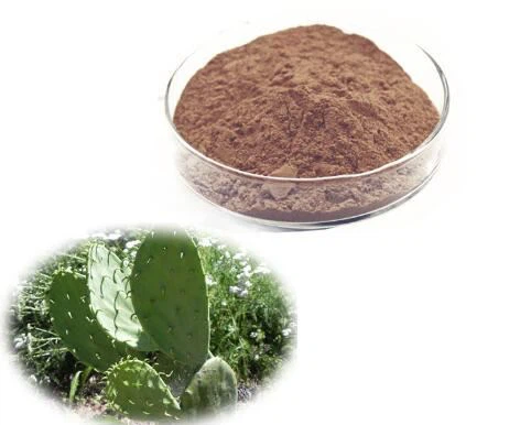 Prickly Txiv Ntoo Cactus Extract