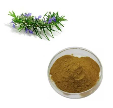 Rosemary Hmoov
