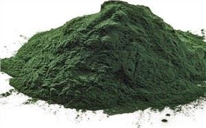 Xiav Ntsuab Algae Hmoov