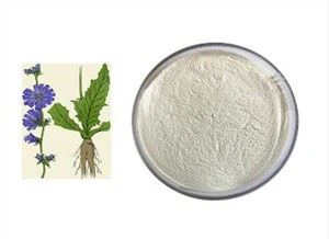 Chicory Cag Inulin