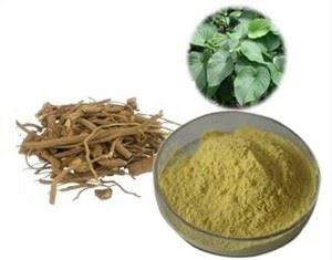 Kava Root Extract