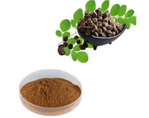 Moringa noob Extract