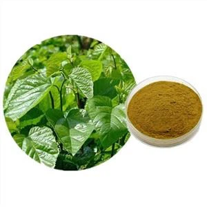 Organic Mulberry nplooj Extract
