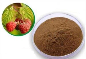 Raspberry Noob Hmoov