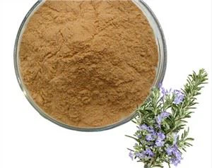 Rosmarinus Officinalis Nplooj Extract