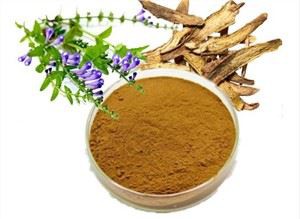 Scutellaria Baicalensis Cag Extract
