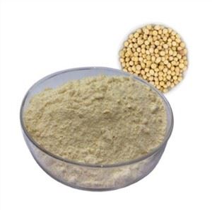 Soy Isoflavones Extract