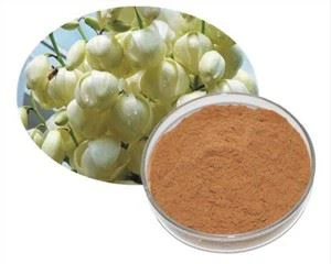 Yucca Root Extract