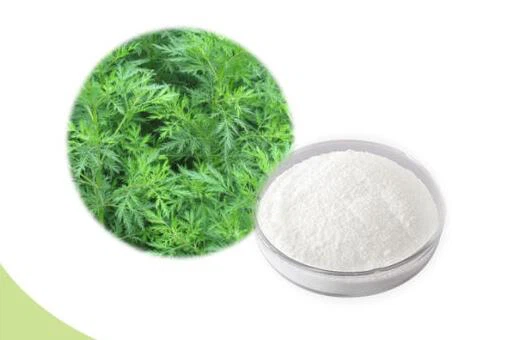 Sweet Wormwood Extract
