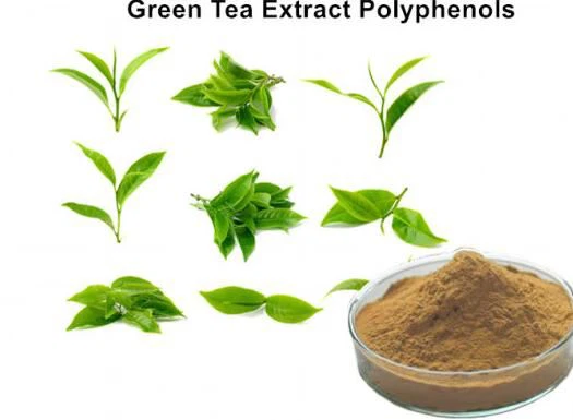 Tshuaj yej Polyphenols