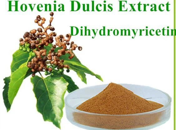 Zoo tshaj Hovenia Dulcis Extract Powder