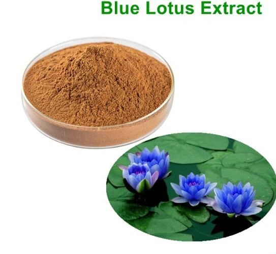 Blue Lotus Extract 200: 1