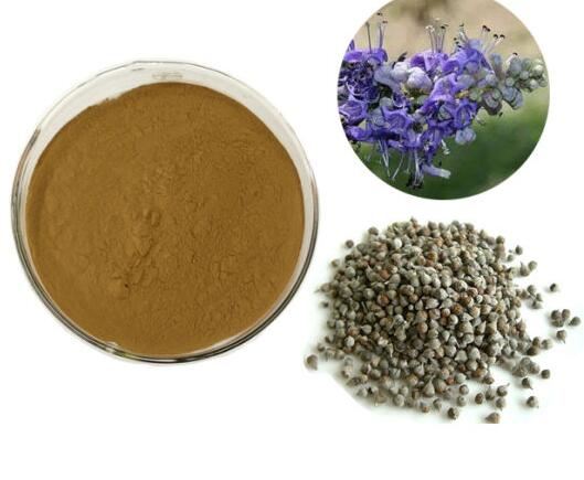 Chasteberry Extract