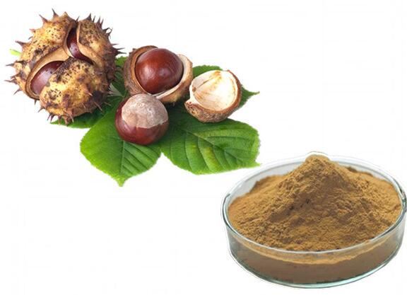 Nees Chestnut Seed Powder