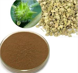 Bulk Tribulus Terrestris Extract hmoov