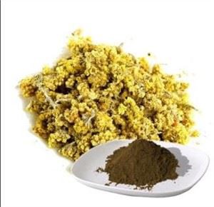 Helichrysum Arenarium Paj Extract