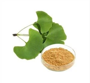 Siab Zoo Ginkgo Biloba Extract
