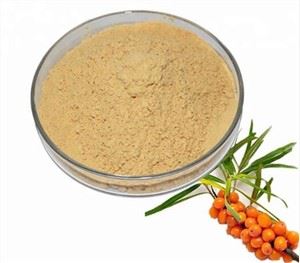 Hiav txwv buckthorn Berry kua txiv hmoov