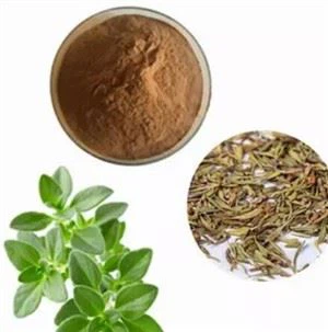 Thymus Serpyllum Extract