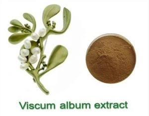 Viscum Album Extract