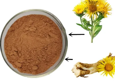 Elecampane Extract