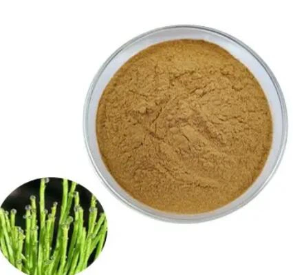 Horsetail nyom Extract
